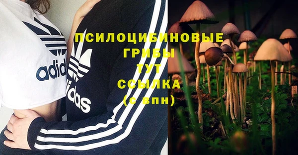 эйфоретик Инта