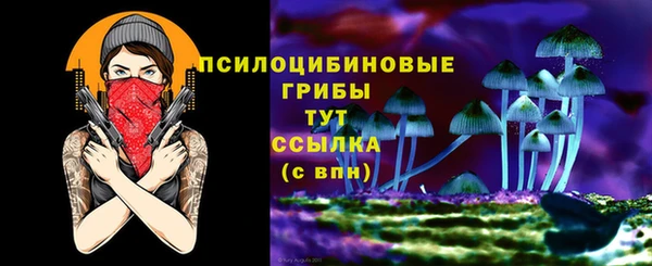 2c-b Алексин