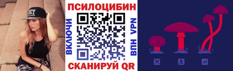 ОМГ ОМГ tor Солигалич Псилоцибиновые грибы Magic Shrooms